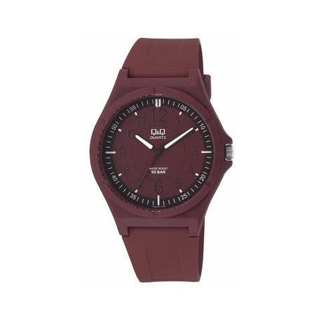 RELOJ Q&Q MODELO VQ66J021Y