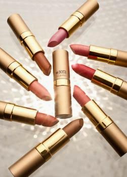 LAPIZ DE LABIOS LIP PERFECT ORO 