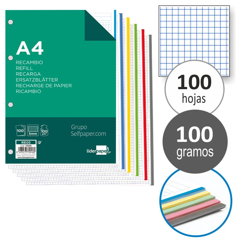 RECAMBIO LIDERPAPEL A4 100H CUADROS 5MM 5 COLORES